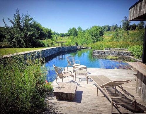 Der Swimming Pond mit Regenerationszone und sonniger Terrasse